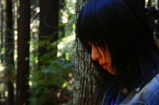 画像(320x213)・拡大画像(450x300)