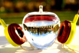 �摜(320x213)�E�g��摜(450x300)