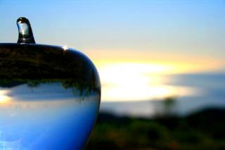 画像(320x213)・拡大画像(450x300)