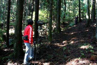 画像(320x213)・拡大画像(450x300)