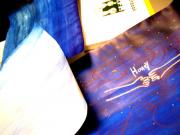 �摜(180x135)�E�g��摜(450x338)