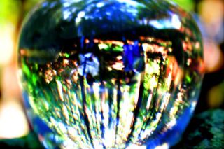 �摜(320x213)�E�g��摜(450x300)