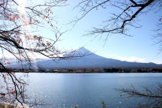 �摜(320x213)�E�g��摜(450x300)