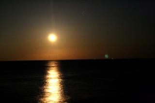 �摜(320x213)�E�g��摜(450x300)