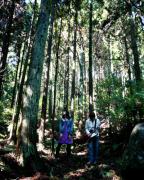 �摜(144x180)�E�g��摜(320x398)