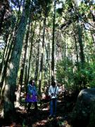 �摜(135x180)�E�g��摜(320x426)