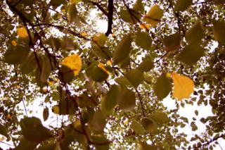 �摜(320x213)�E�g��摜(450x300)