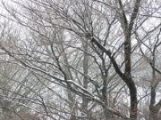 �摜(180x135)�E�g��摜(320x240)