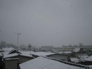 �摜(320x240)�E�g��摜(450x338)