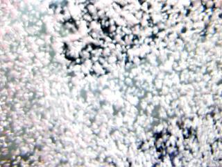 �摜(320x240)�E�g��摜(450x338)