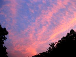 �摜(320x240)�E�g��摜(450x338)