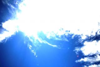 �摜(320x213)�E�g��摜(450x300)