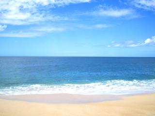 �摜(320x240)�E�g��摜(450x338)