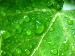 �摜(320x240)�E�g��摜(350x263)