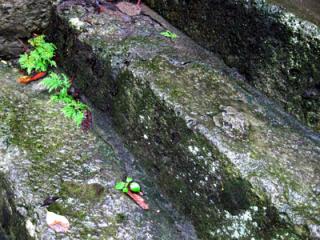 �摜(320x240)�E�g��摜(400x300)