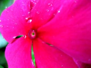 �摜(320x240)�E�g��摜(400x300)