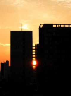 �摜(239x320)�E�g��摜(320x427)