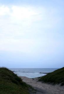 �摜(218x320)�E�g��摜(320x468)