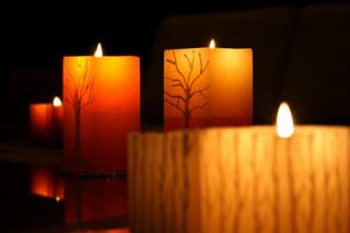 �摜(320x213)�E�g��摜(450x300)