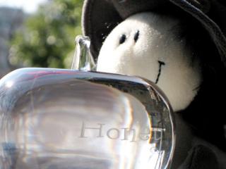 �摜(320x240)�E�g��摜(500x375)