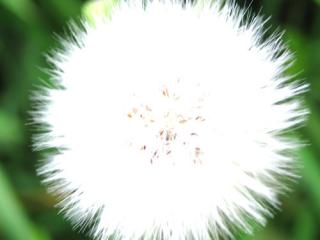 �摜(320x240)�E�g��摜(500x375)