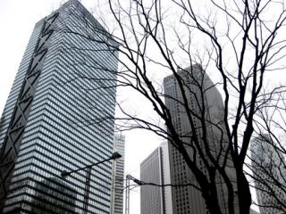 �摜(320x240)�E�g��摜(450x338)