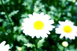 �摜(320x213)�E�g��摜(450x300)