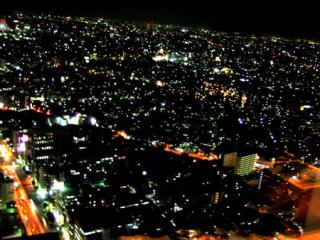 �摜(320x240)�E�g��摜(450x338)