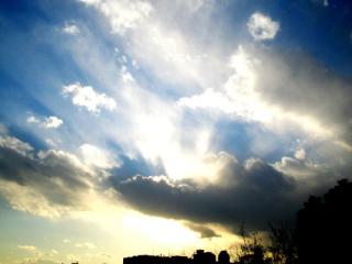 �摜(320x240)�E�g��摜(500x375)