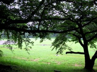 �摜(320x240)�E�g��摜(450x338)