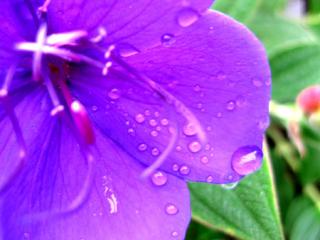 �摜(320x240)�E�g��摜(450x338)