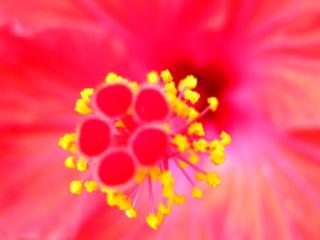 �摜(320x240)�E�g��摜(450x338)