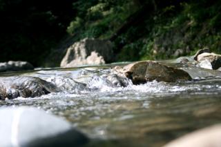 �摜(320x213)�E�g��摜(450x300)