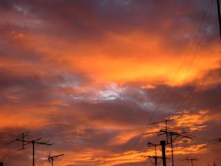 �摜(320x240)�E�g��摜(450x338)