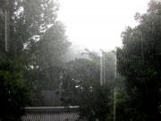 �摜(180x135)�E�g��摜(450x338)