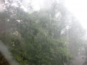 �摜(180x135)�E�g��摜(450x338)