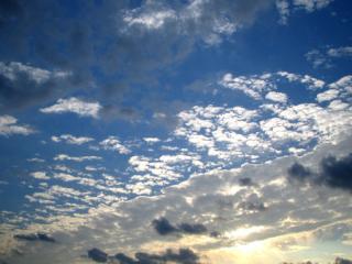 �摜(320x240)�E�g��摜(450x338)