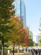 �摜(134x180)�E�g��摜(479x640)