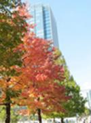 �摜(134x180)�E�g��摜(150x201)