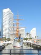 �摜(135x180)�E�g��摜(480x640)