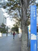 �摜(135x180)�E�g��摜(480x640)