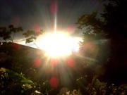 �摜(180x135)�E�g��摜(320x240)