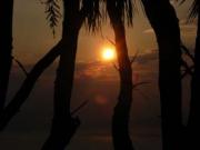 �摜(180x135)�E�g��摜(320x240)