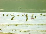 �摜(180x135)�E�g��摜(320x240)