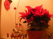 �摜(180x135)�E�g��摜(640x480)