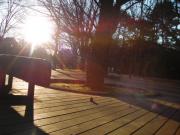 �摜(180x135)�E�g��摜(640x480)