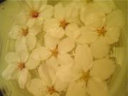 �摜(180x135)�E�g��摜(640x480)