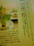 �摜(135x180)�E�g��摜(480x640)