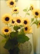 �摜(135x180)�E�g��摜(432x576)