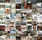 �摜(135x130)�E�g��摜(500x485)